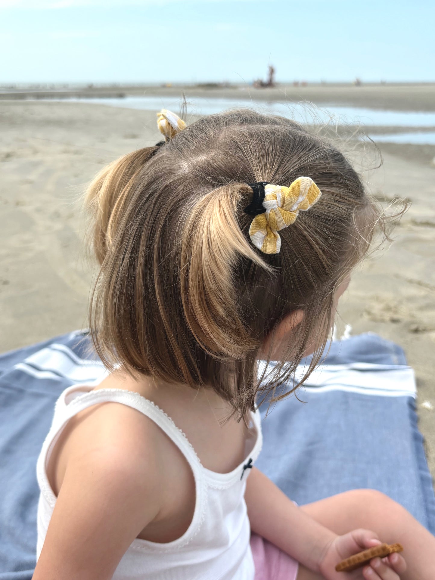 Palette Heidi Rayonnante